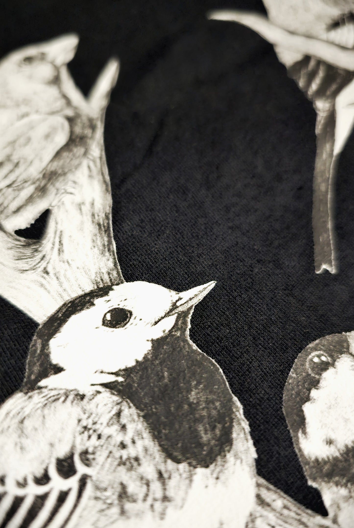 T-shirts | Dead Gods