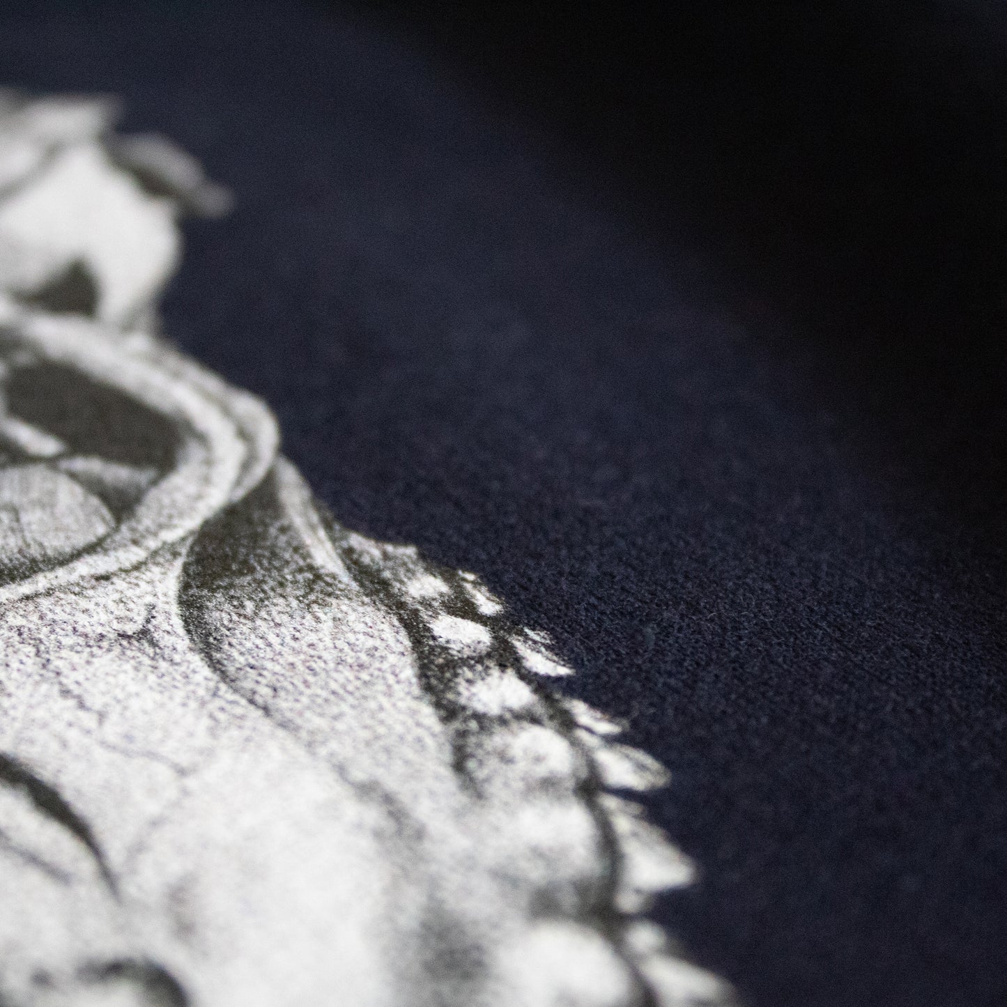 Close-up on black and white, tattoo inspired, gothic, witchy, pagan art on clothing piece. Birds & Bones collection features nature and death inspired artwork on t-shirts and sweathirts.