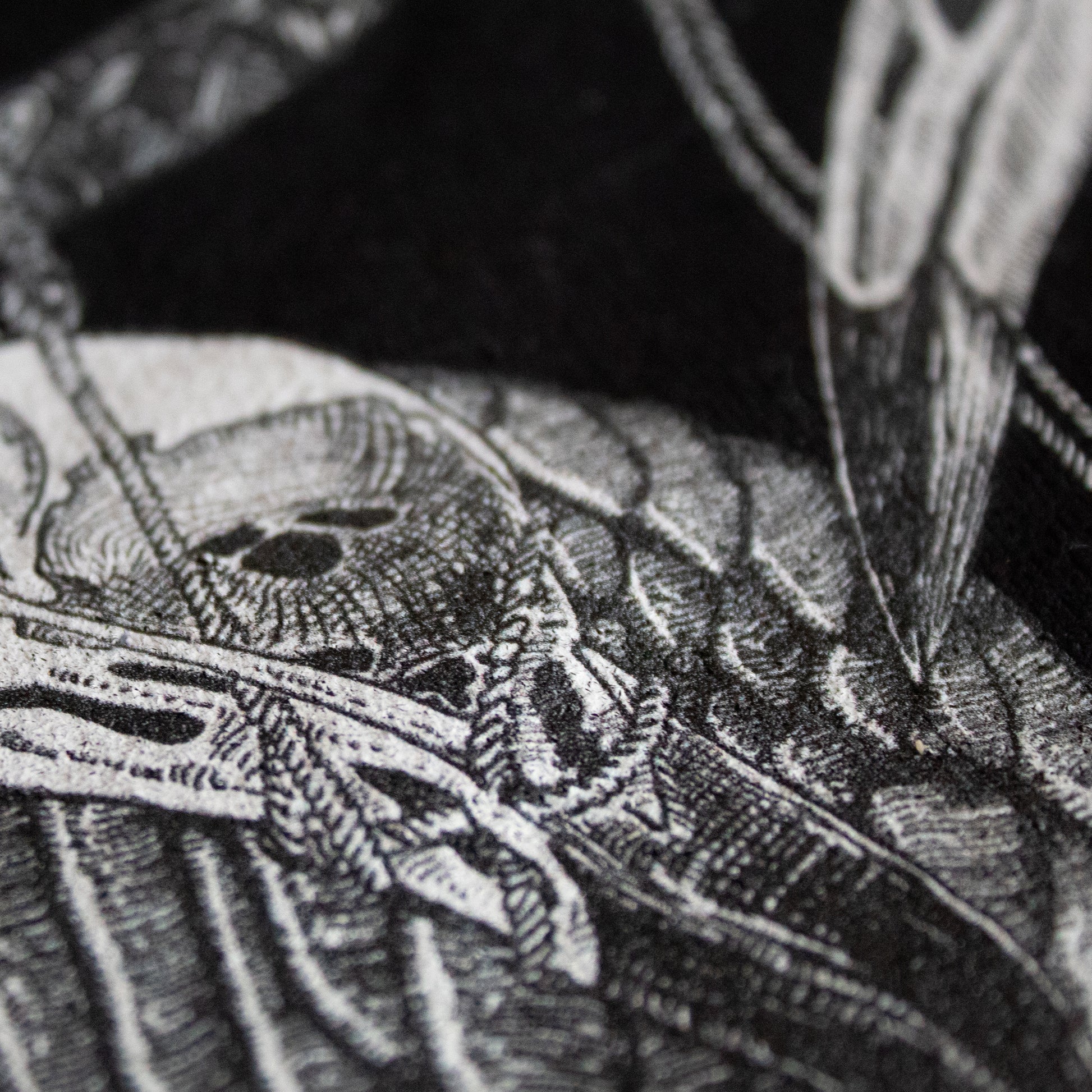 Close-up on black and white, tattoo inspired, gothic, witchy, pagan art on clothing piece. Birds & Bones collection features nature and death inspired artwork on t-shirts and sweathirts.