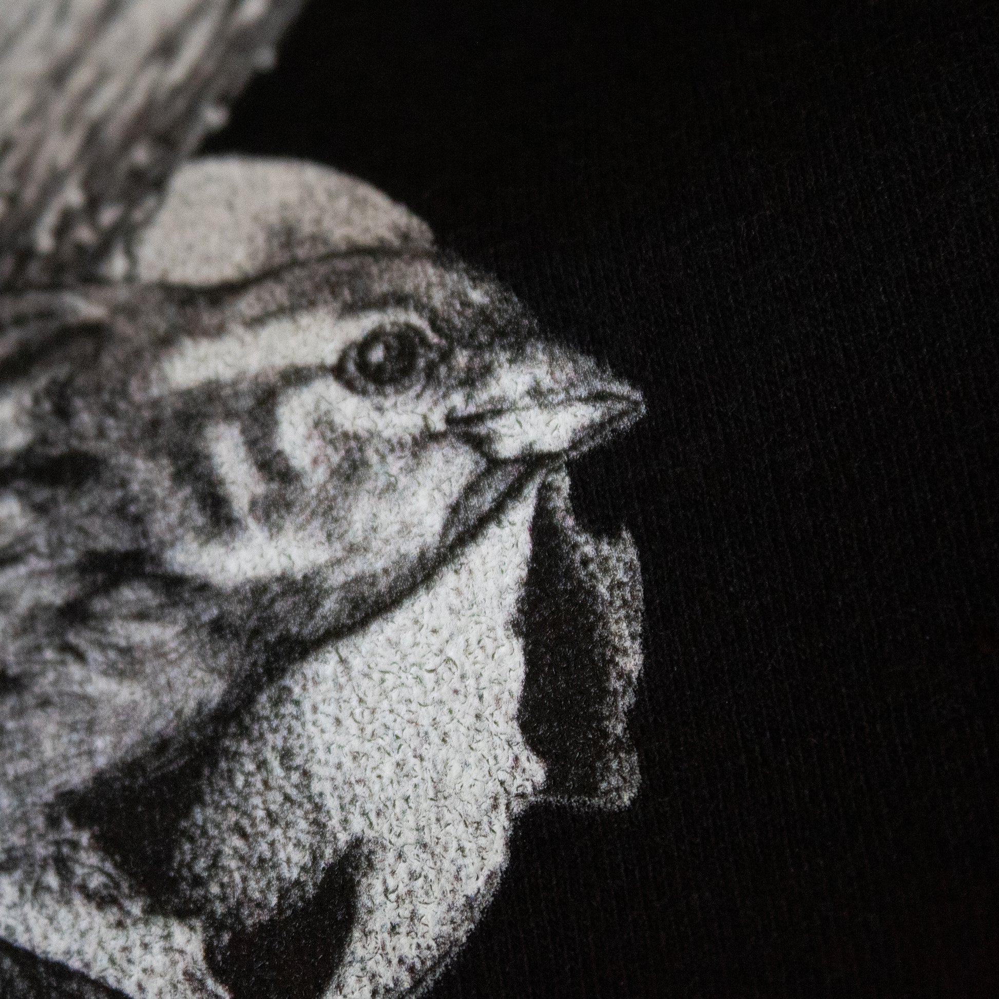 Close-up on black and white, tattoo inspired, gothic, witchy, pagan art on clothing piece. Birds & Bones collection features nature and death inspired artwork on t-shirts and sweathirts.