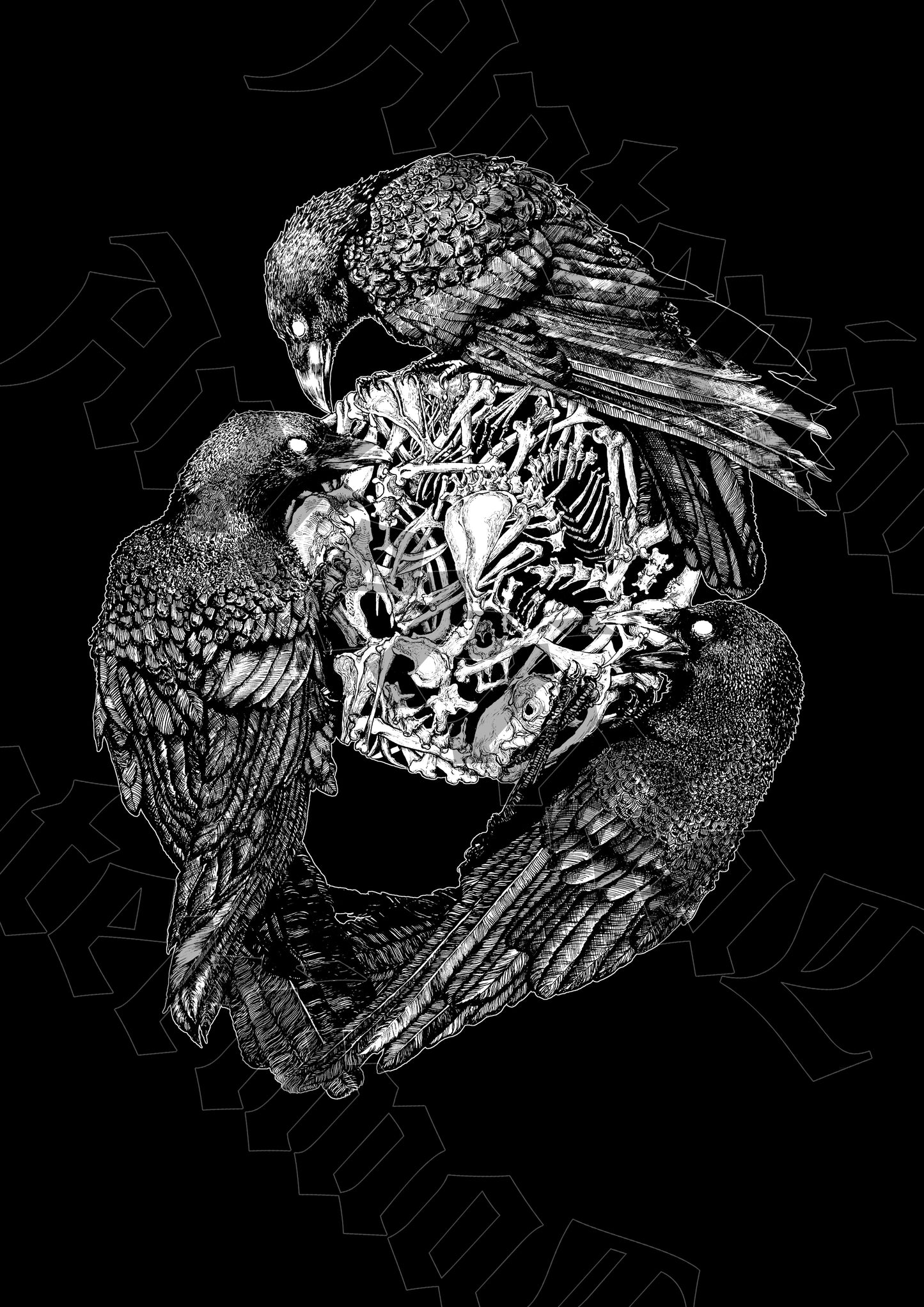 T-shirts | Birds & Bones