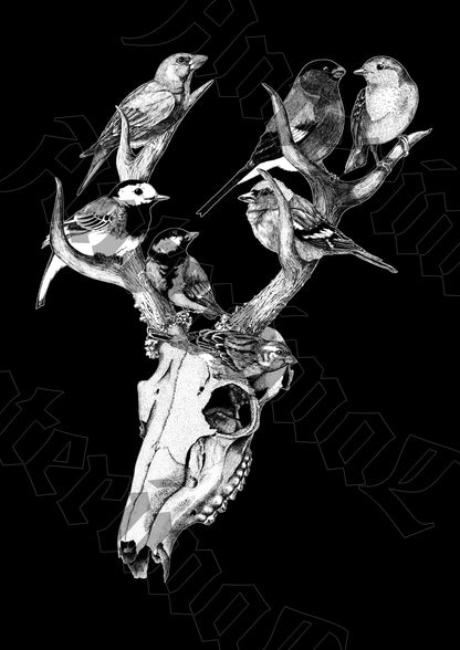 T-shirts | Birds & Bones