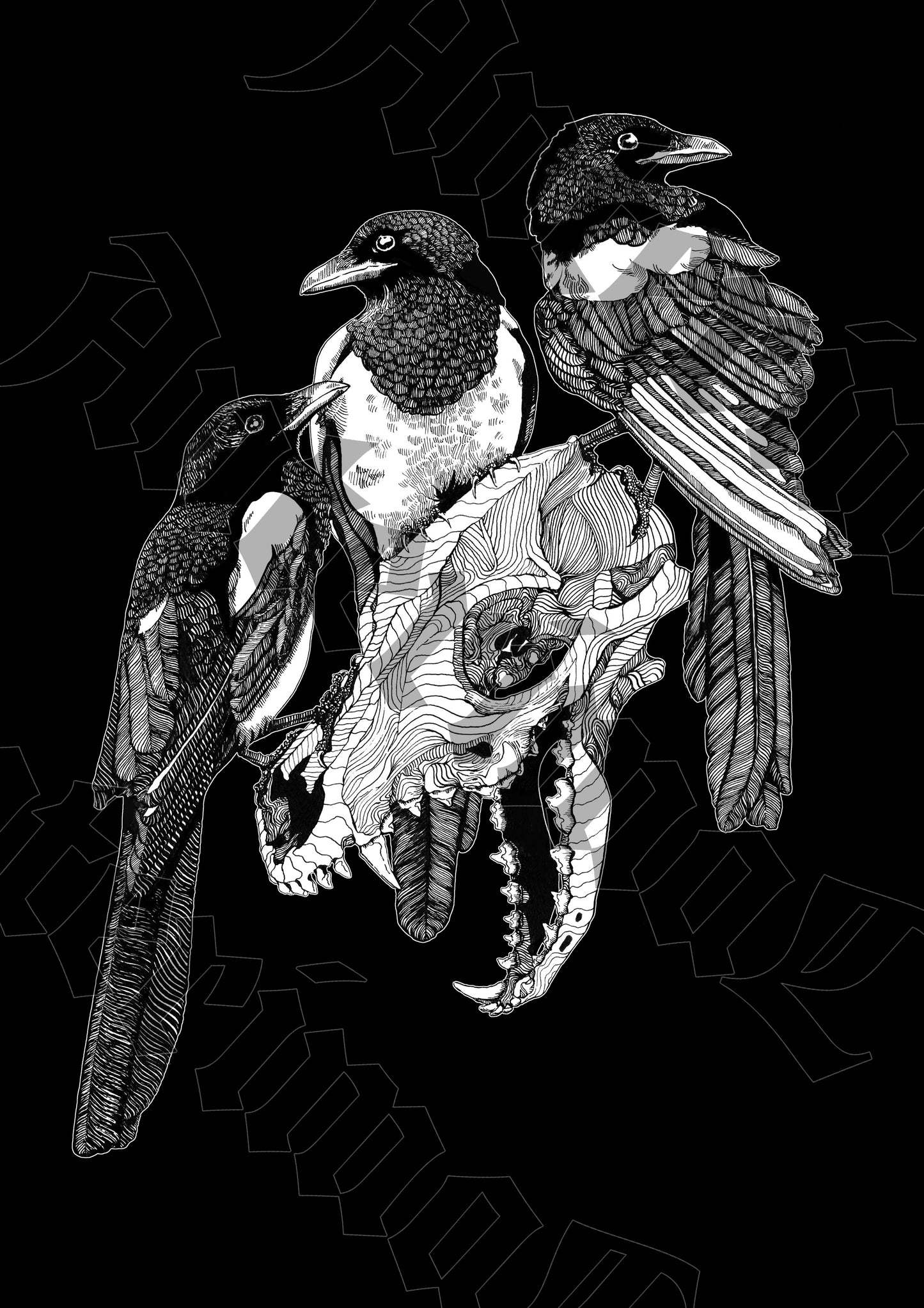 T-shirts | Birds & Bones