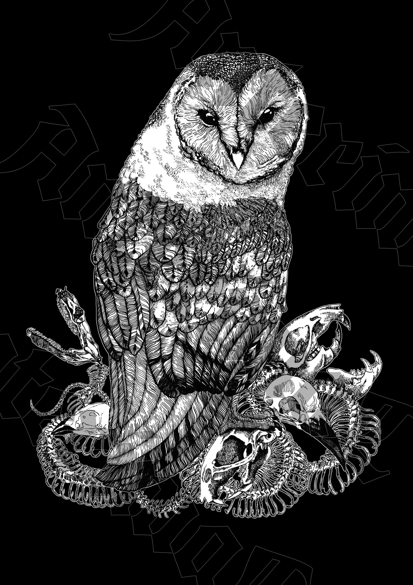 T-shirts | Birds & Bones