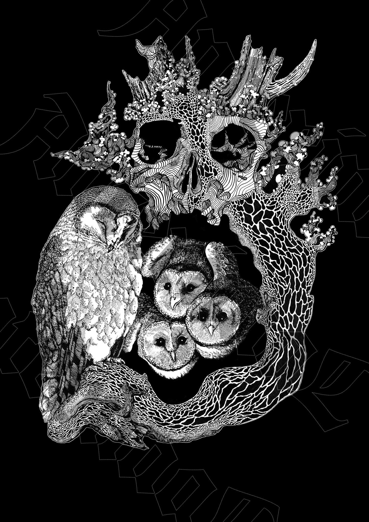 T-shirts | Birds & Bones