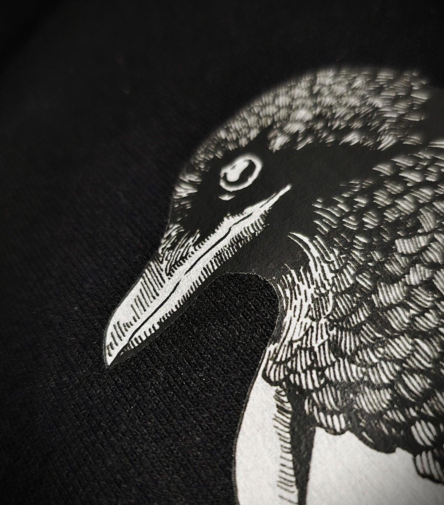 Hoodies | Halloween Cats