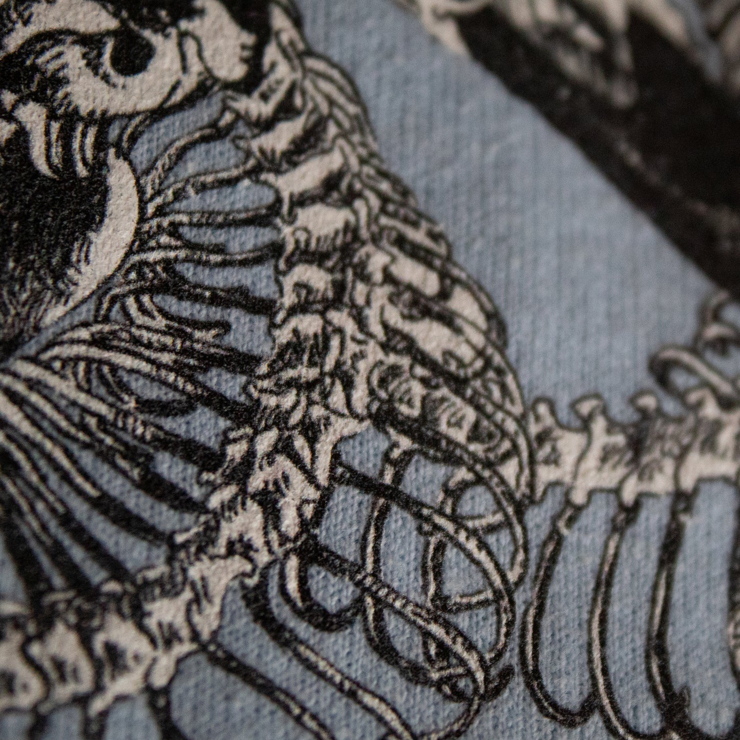 Close-up on black and white, tattoo inspired, gothic, witchy, pagan art on clothing piece. Birds & Bones collection features nature and death inspired artwork on t-shirts and sweathirts.