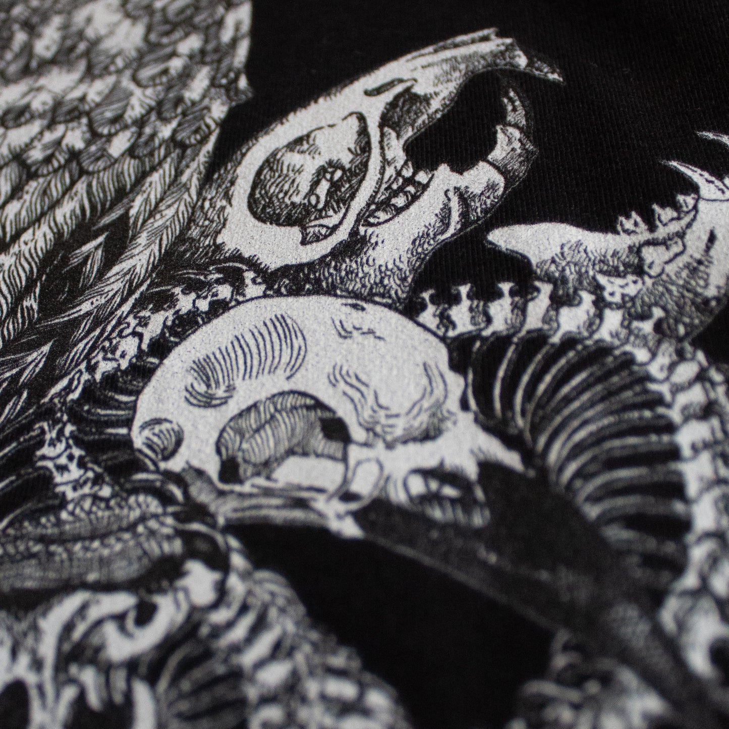 Close-up on black and white, tattoo inspired, gothic, witchy, pagan art on clothing piece. Birds & Bones collection features nature and death inspired artwork on t-shirts and sweathirts.